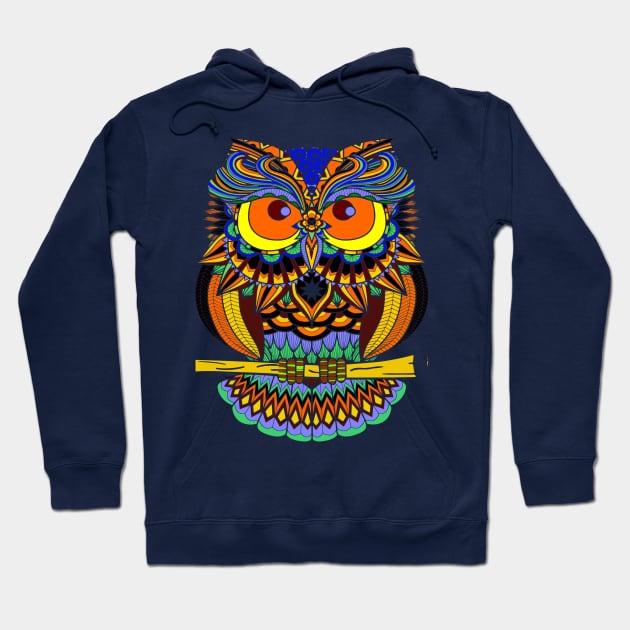 Colorful Owl Hoodie by AlondraHanley